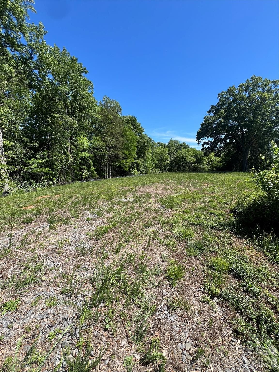 Unimproved Commercial at 1421 Speer Bridge Road, Yadkinville, photo 2 of 2