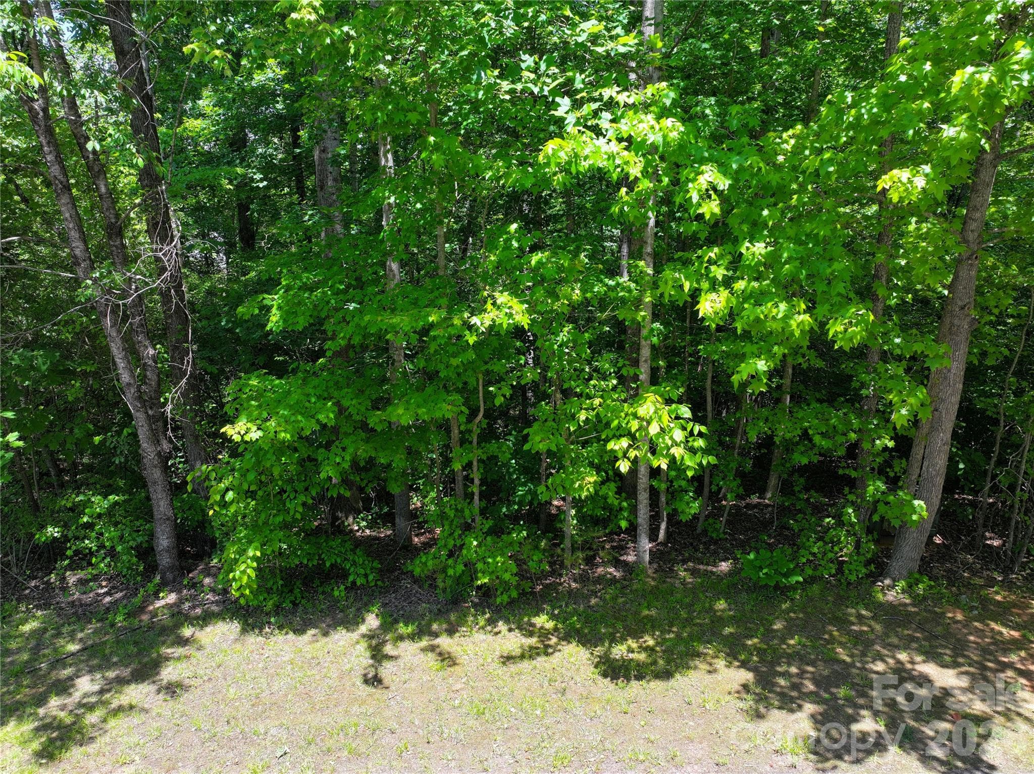Lot at Statesville, photo 9 of 11