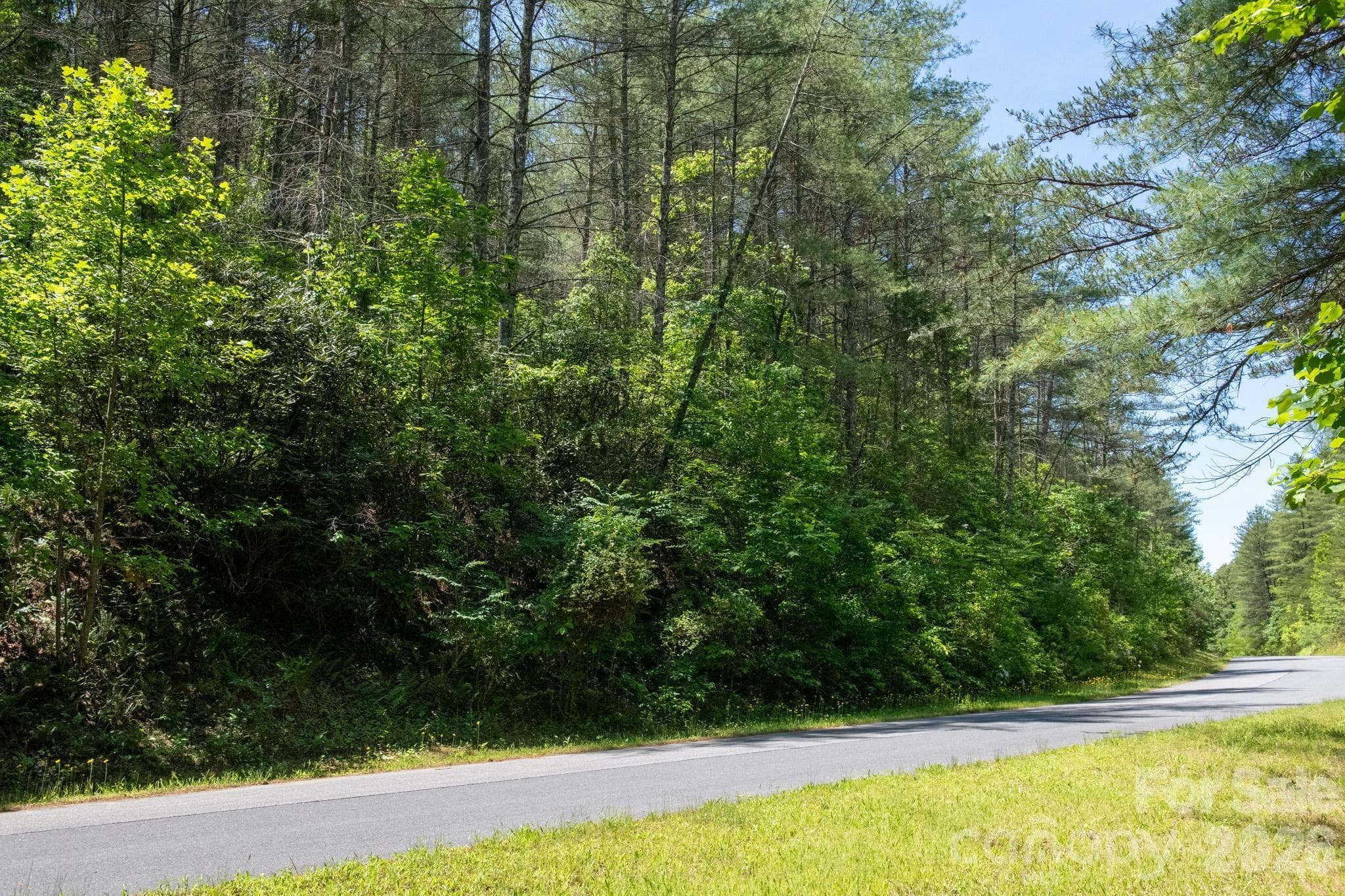 Lot at Lenoir, photo 3 of 22