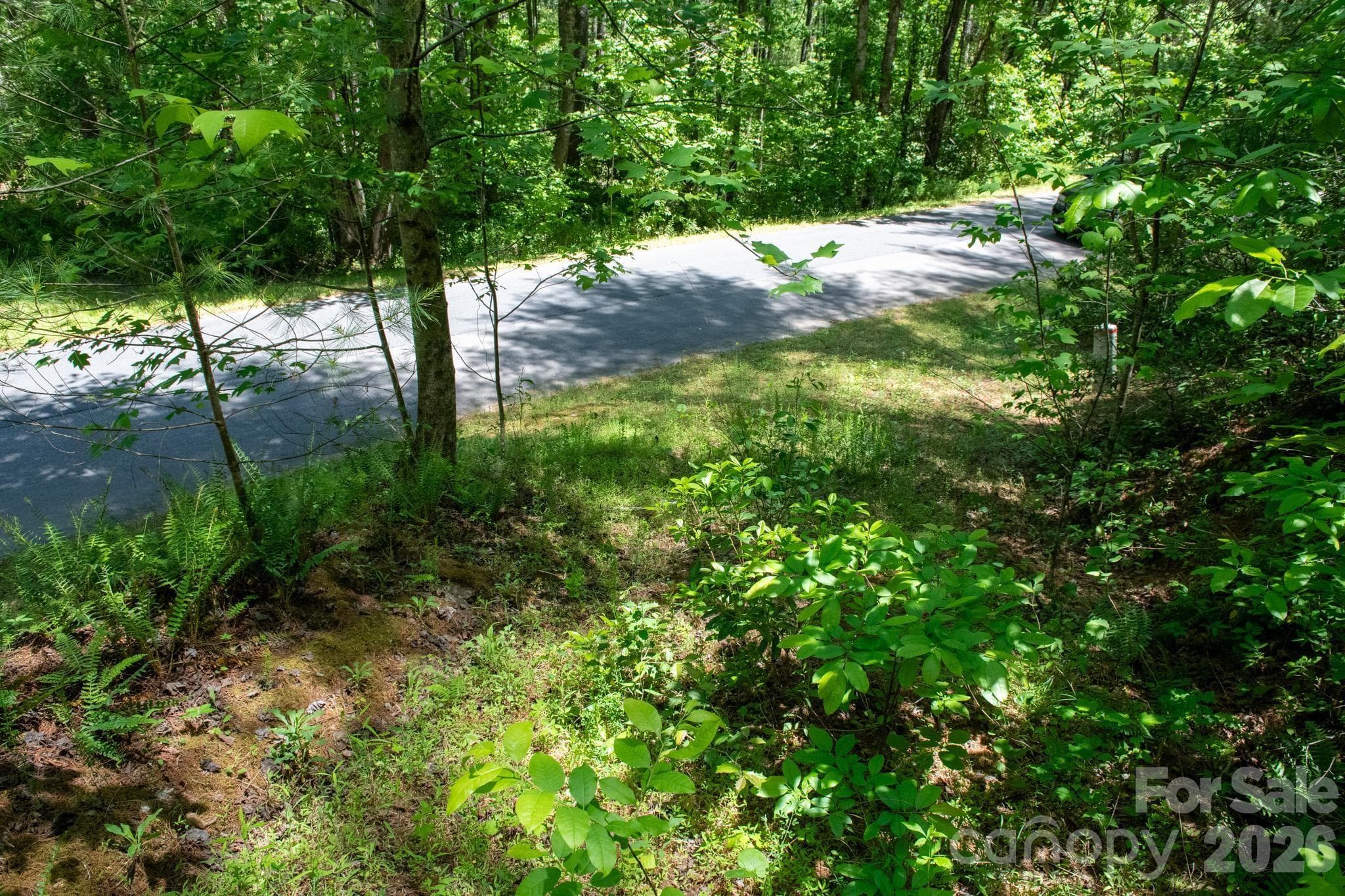 Lot at Lenoir, photo 4 of 22