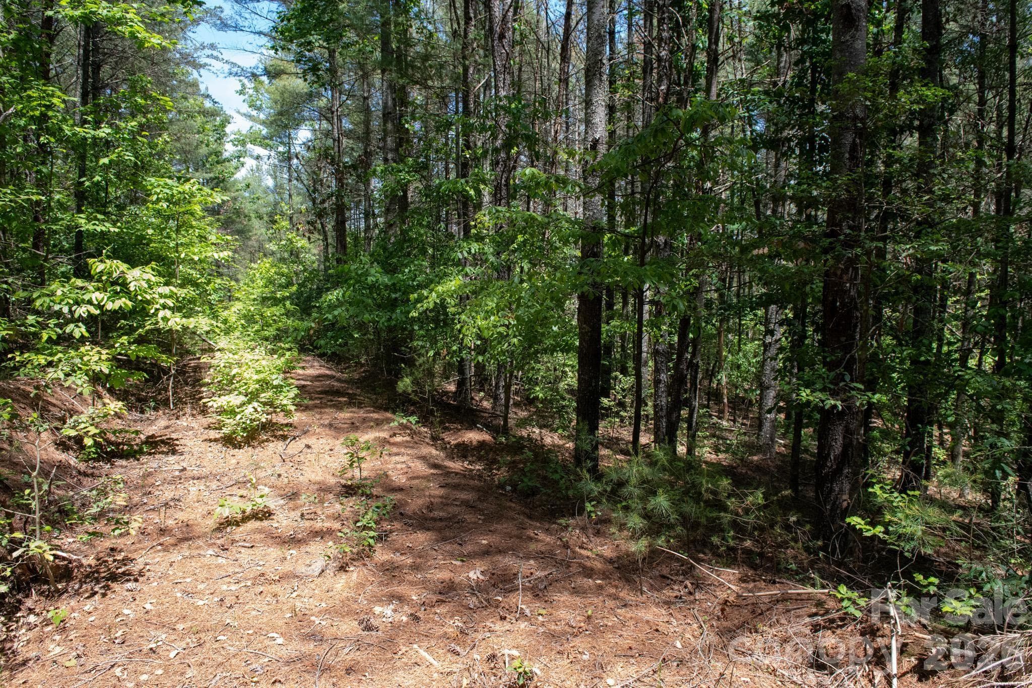 Lot at Lenoir, photo 6 of 22