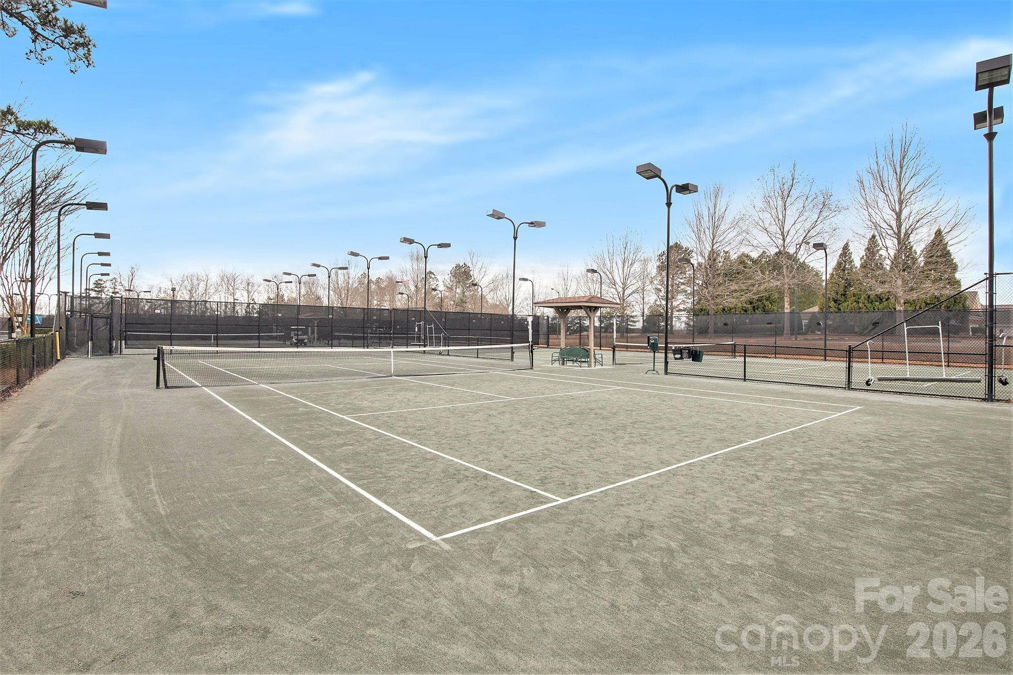 Clay Tennis Courts - 43041 Mimosa Court, Fort Mill