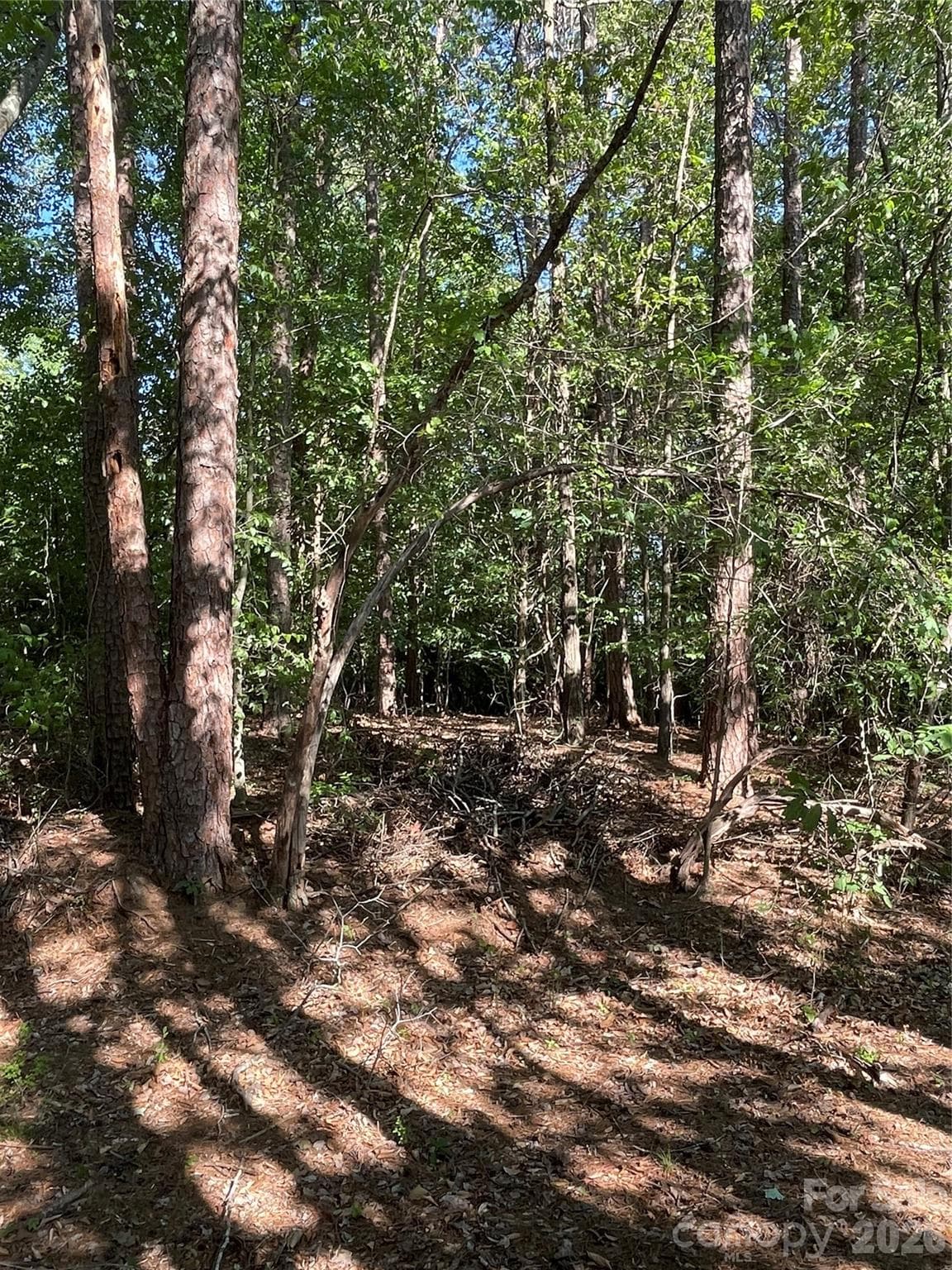 Lot at Troutman, photo 2 of 3