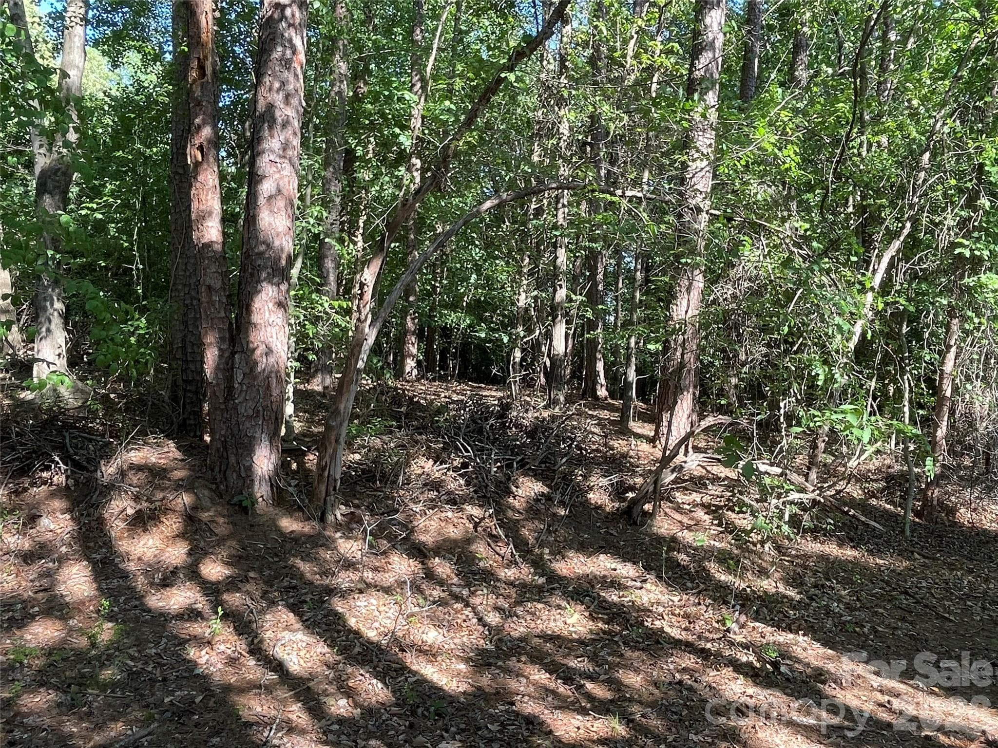 Lot at Troutman, photo 2 of 4