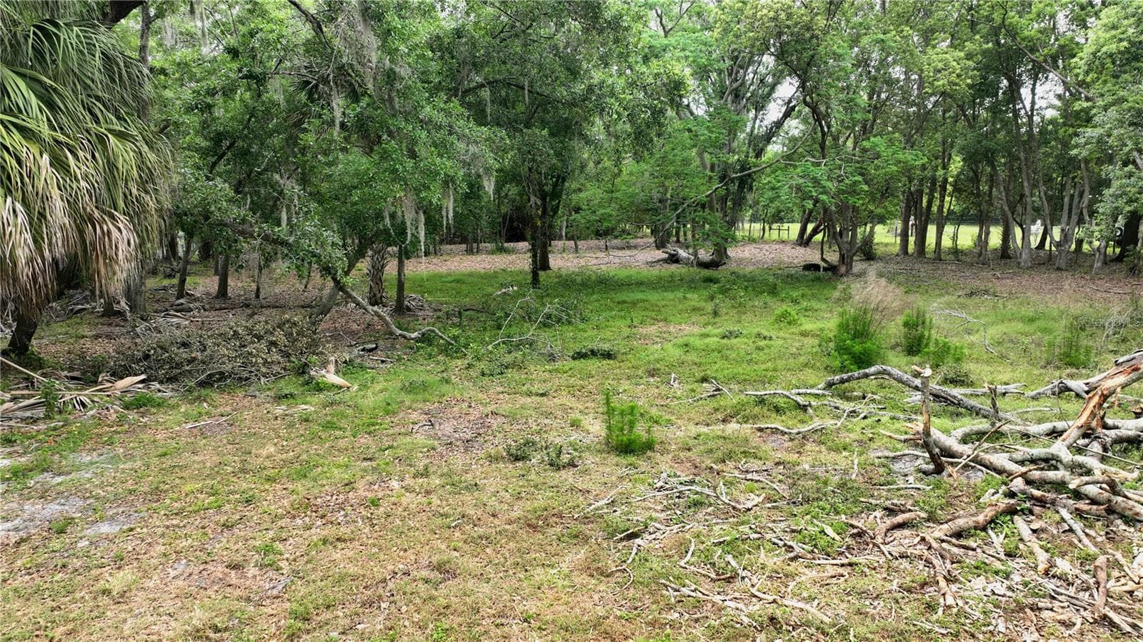 Land at OLD CONE GROVE ROAD, RIVERVIEW, photo 5 of 5