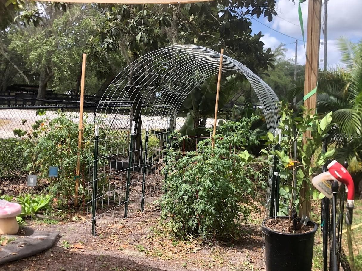 Organic Garden - 19801 GUNN HWY, ODESSA