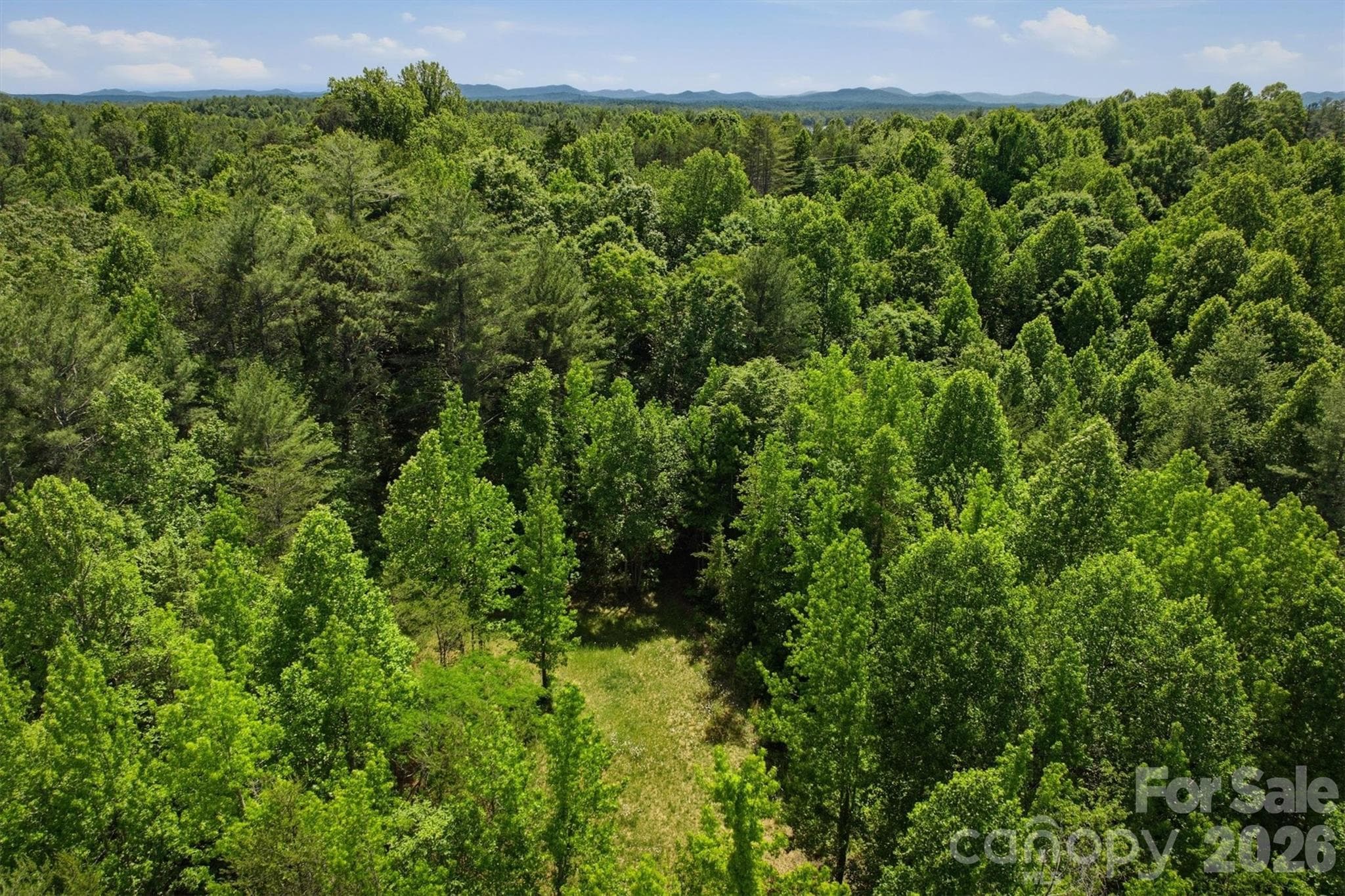 Acreage at Morganton, photo 5 of 5