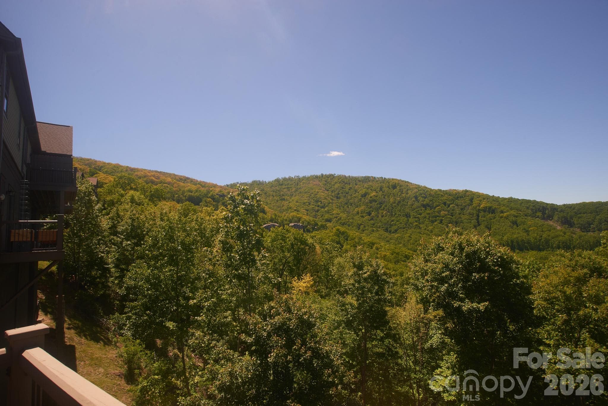 Exceptional views of Old Growth Forest - Burnsville