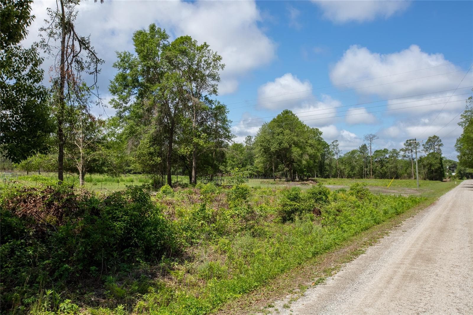 Land at NW 185TH ST, STARKE, photo 14 of 19
