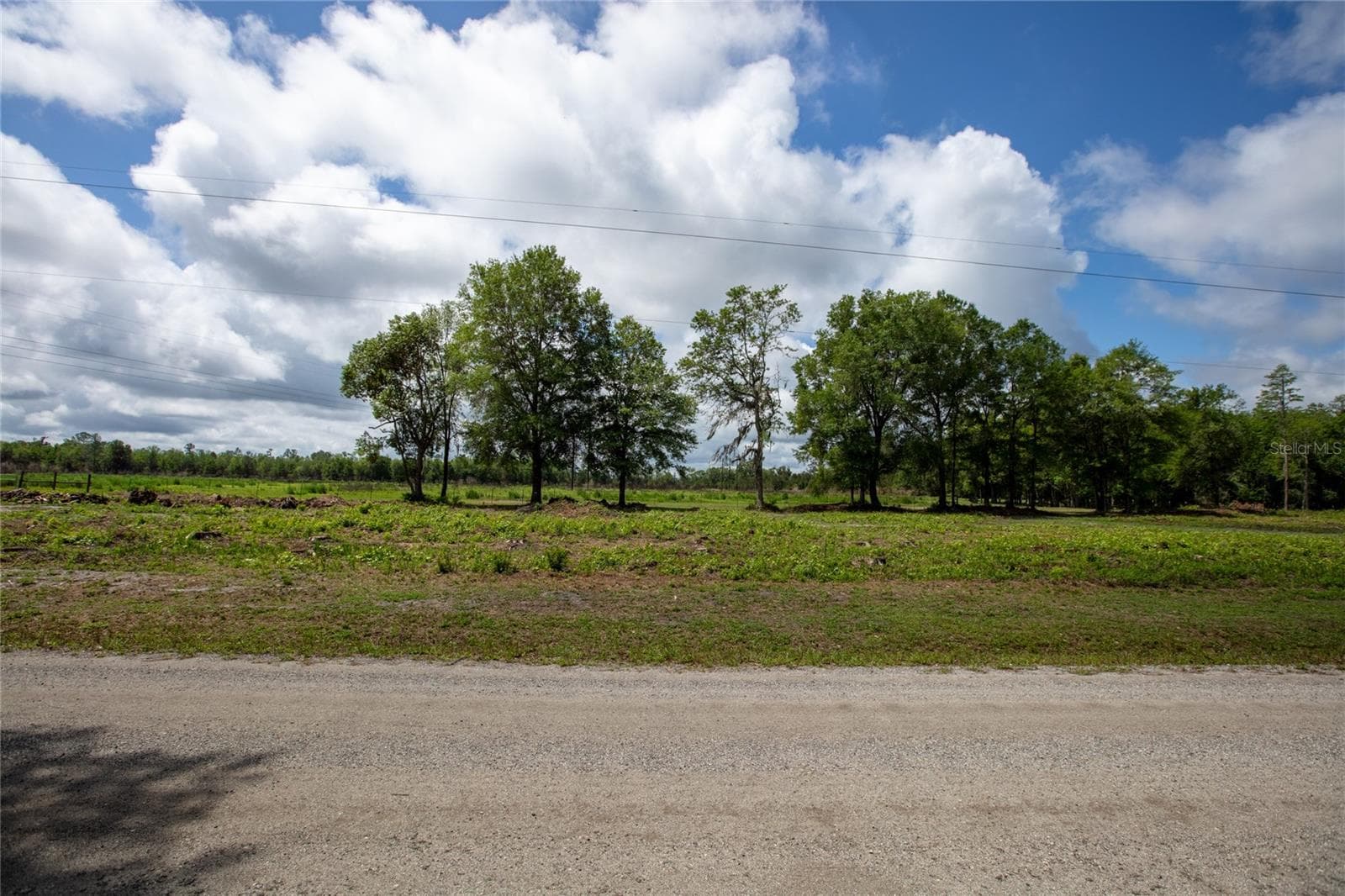 Land at NW 185TH ST, STARKE, photo 17 of 19