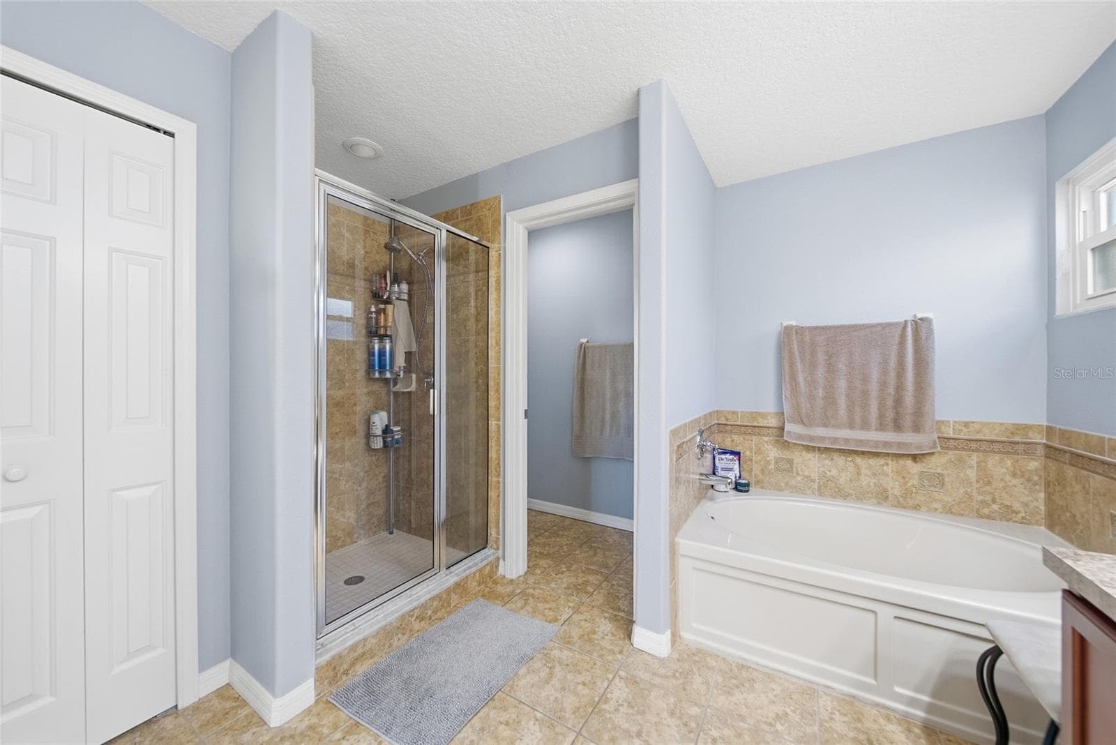 Single Family Residence at 18133 BAHAMA BAY DR, TAMPA, photo 32 of 52