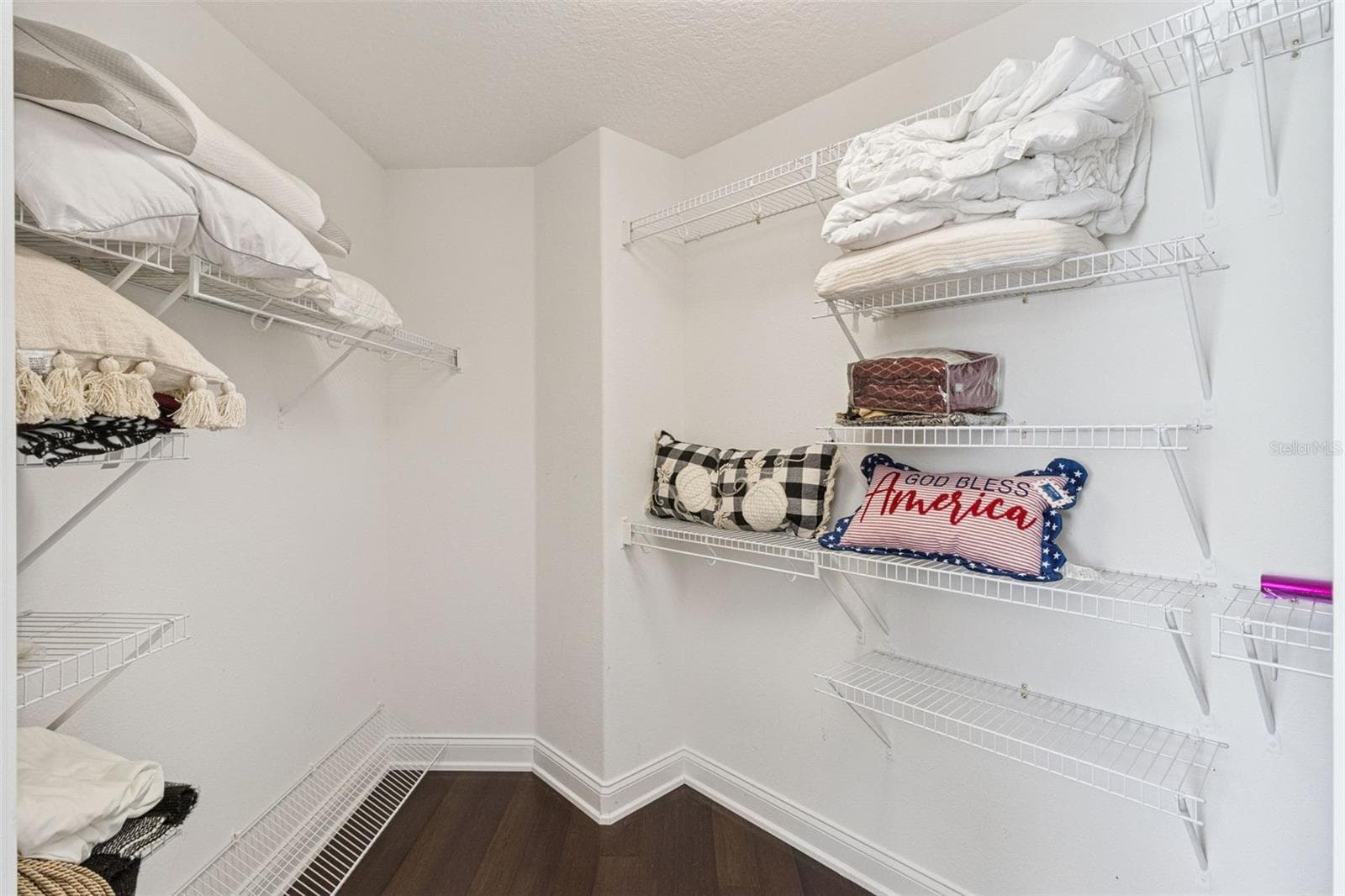 Bedroom 2 walk-in closet. - 4524 STONE WALL LN, PLANT CITY