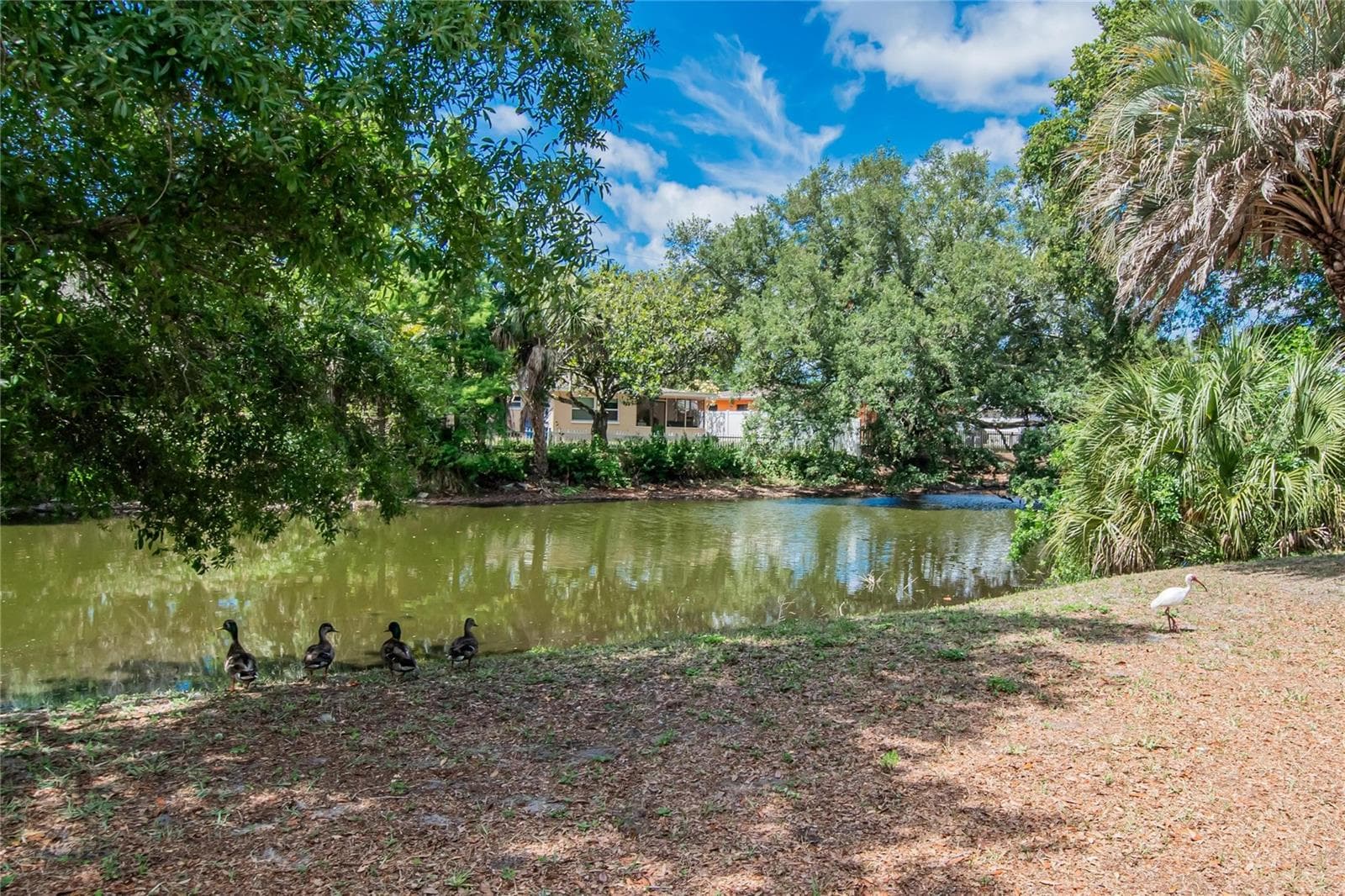 Townhouse at 750 GRAND CYPRESS LN, TARPON SPRINGS, photo 76 of 85
