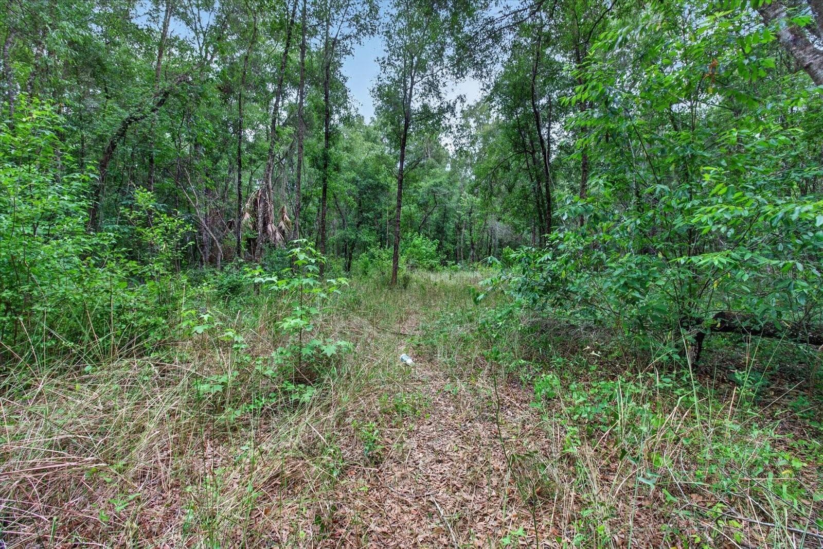 Land at 0 CORTEZ BLVD, BROOKSVILLE, photo 7 of 7