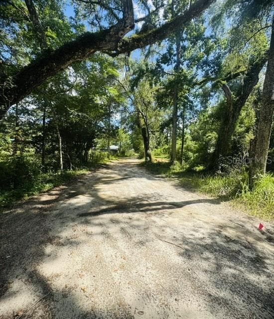 Road to home - 11898 SW 36TH WAY, WEBSTER