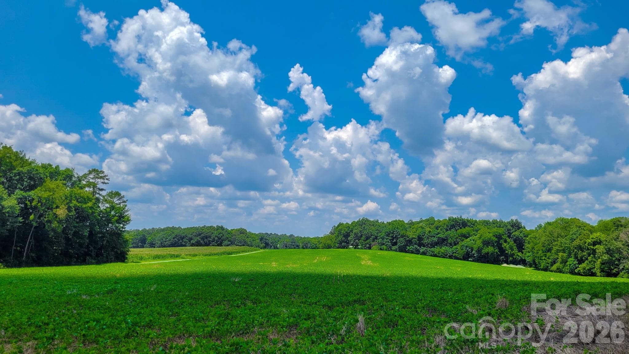 Acreage at Monroe, photo 3 of 10