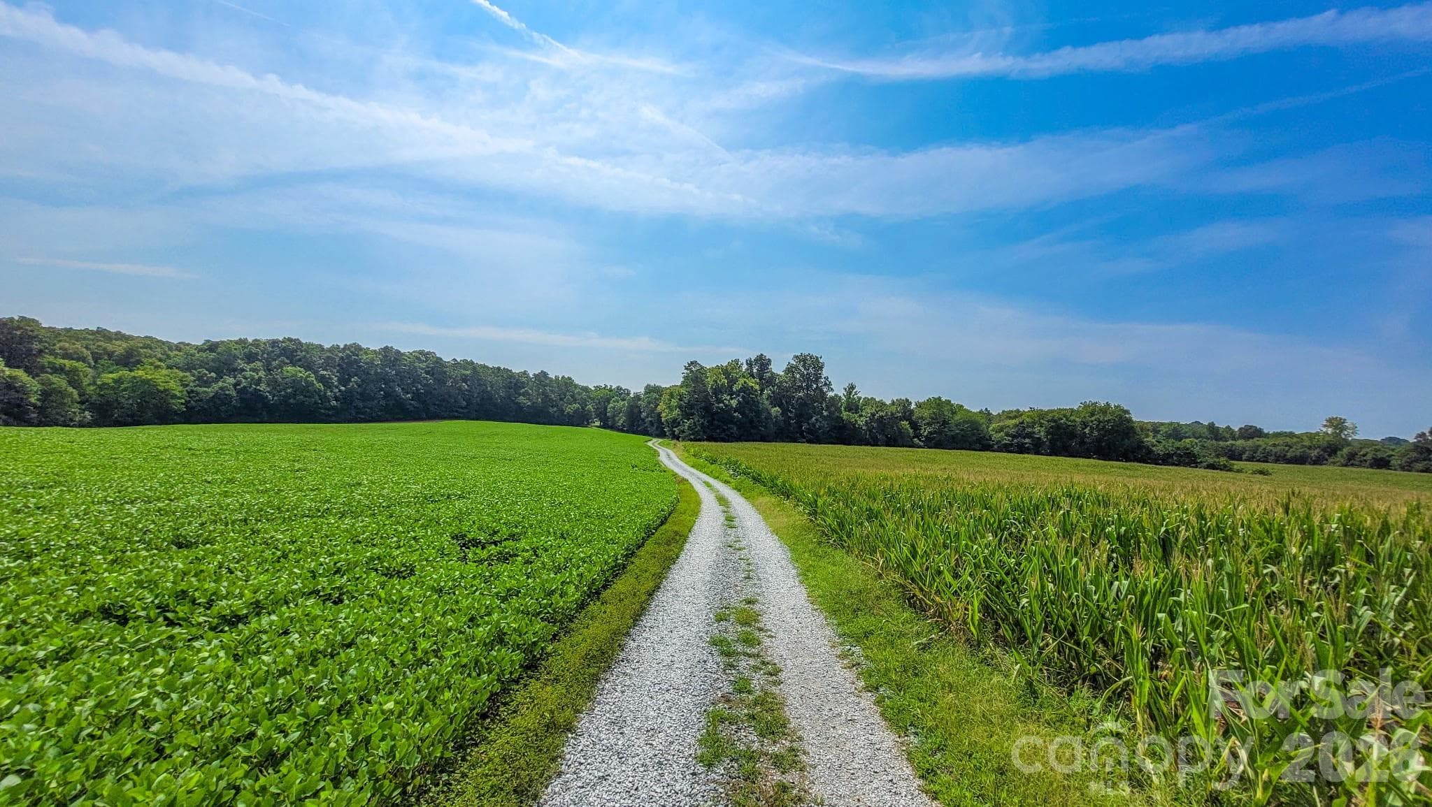 Acreage at Monroe, photo 4 of 10