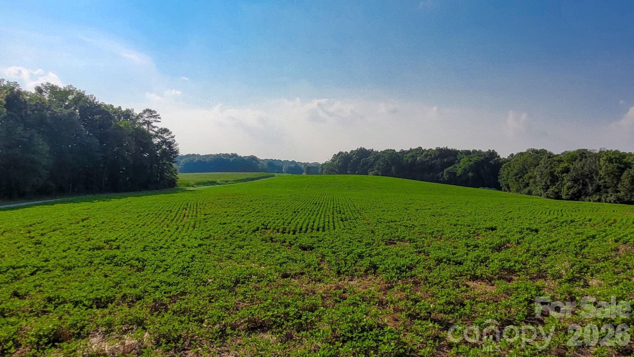 Acreage at Monroe, photo 6 of 10