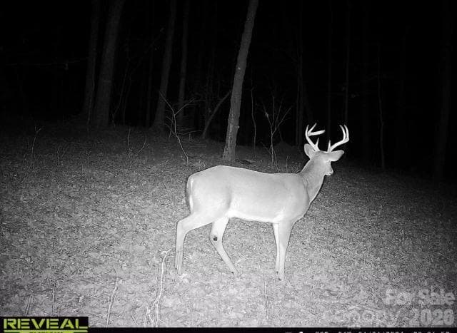 Acreage at Monroe, photo 9 of 10