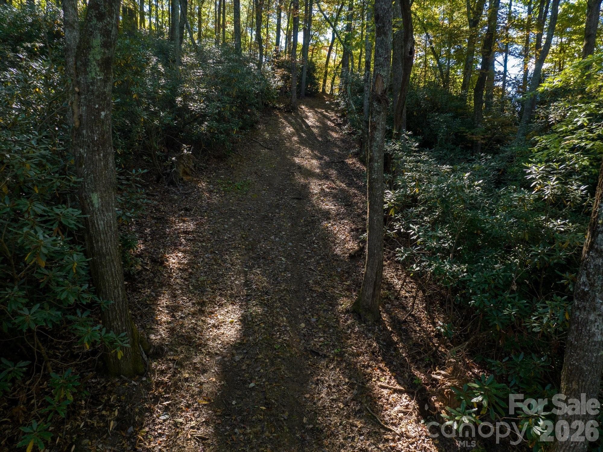 Acreage at 0 Big Hungry Road, Flat Rock, photo 3 of 40