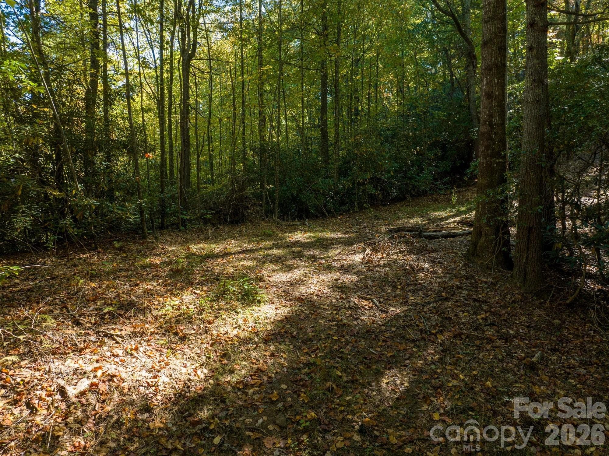 Acreage at 0 Big Hungry Road, Flat Rock, photo 2 of 40