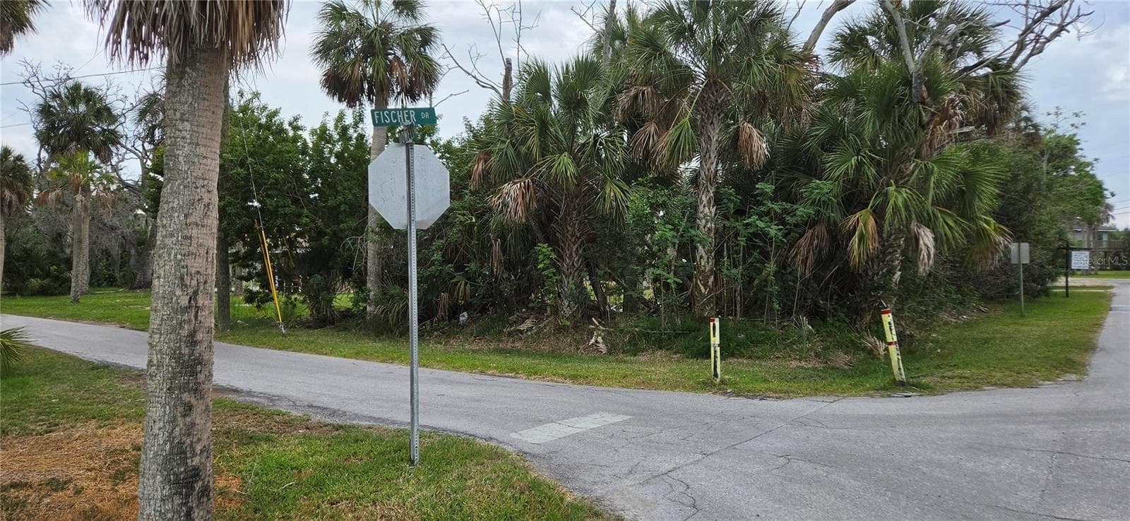 Land at 4824 DOWELL DR, PORT RICHEY, photo 6 of 32