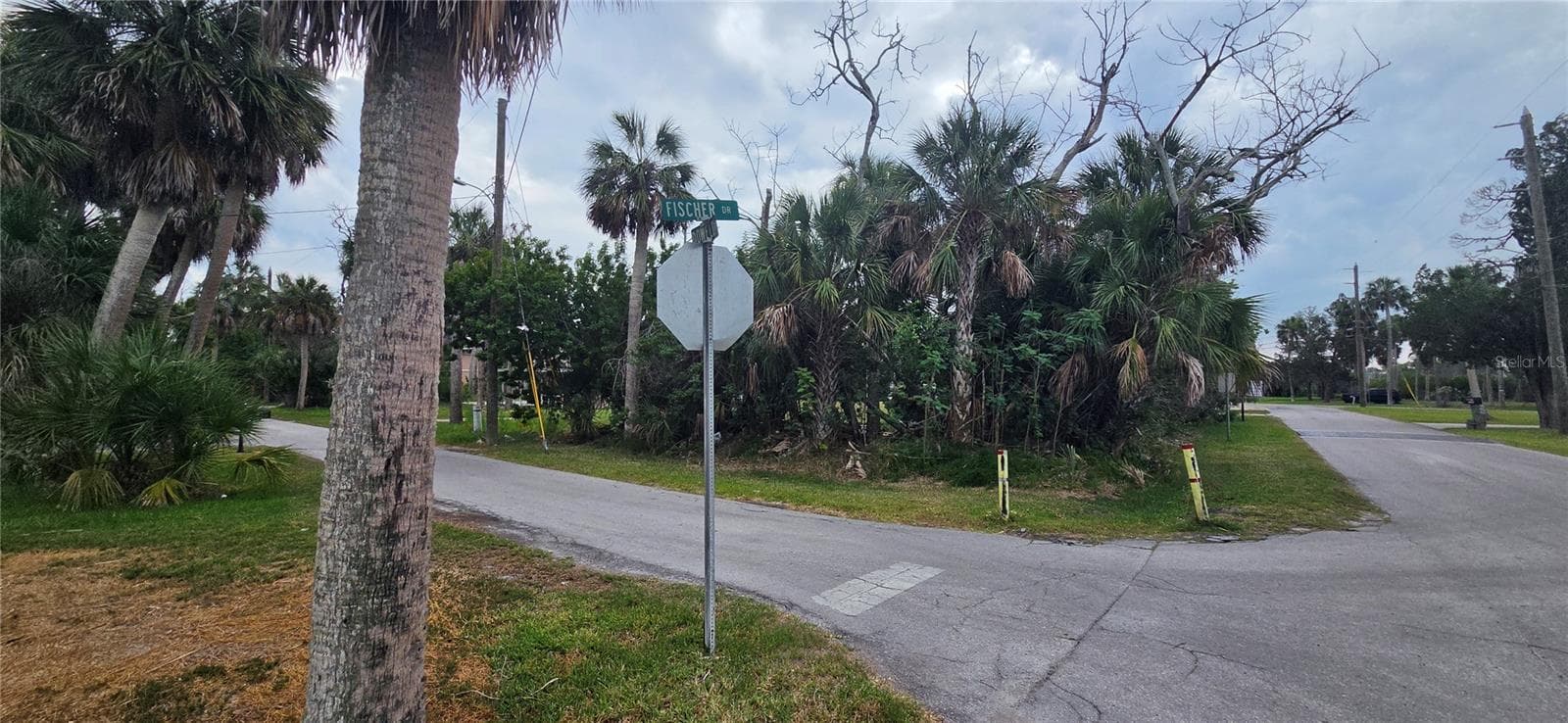 Land at 4824 DOWELL DR, PORT RICHEY, photo 8 of 32