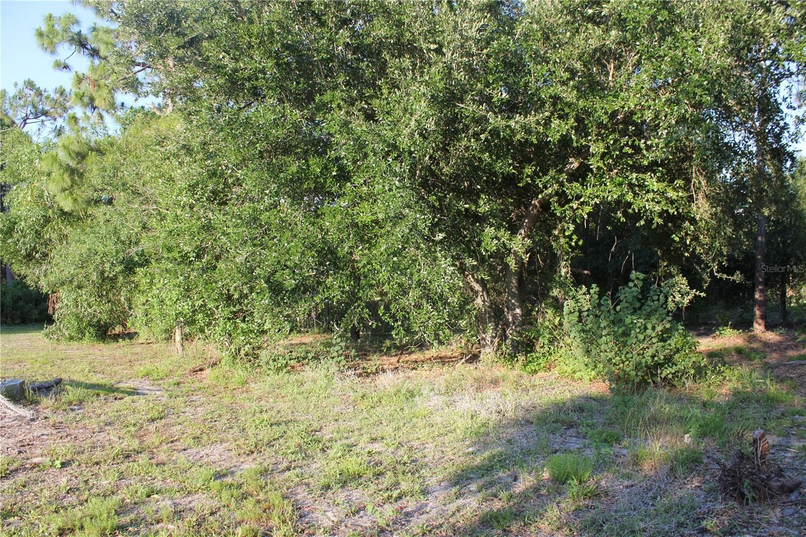 back of land - 9082 ACORN BLVD, PUNTA GORDA