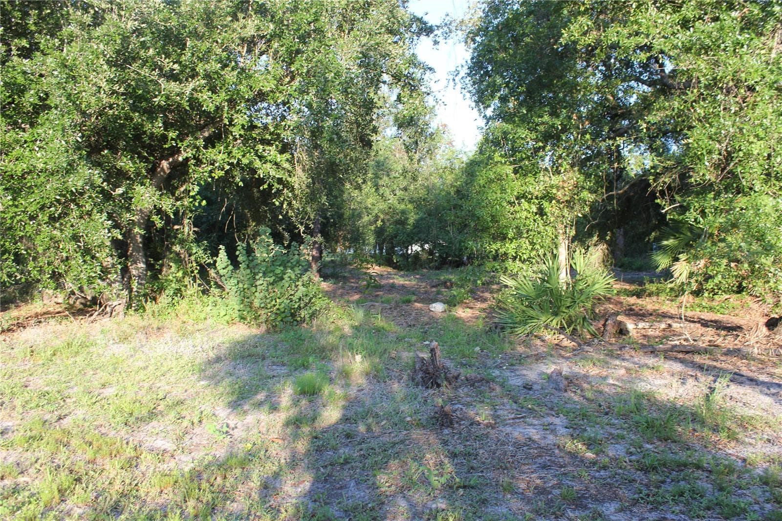 back of land - 9082 ACORN BLVD, PUNTA GORDA