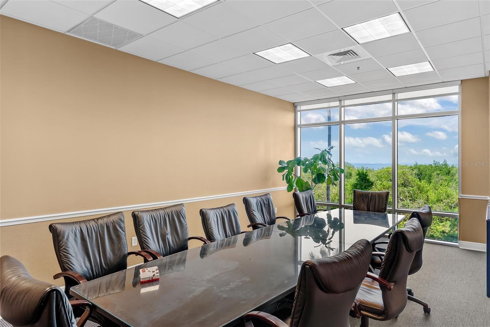 Office at 5550 W EXECUTIVE DR #250, TAMPA, photo 5 of 11