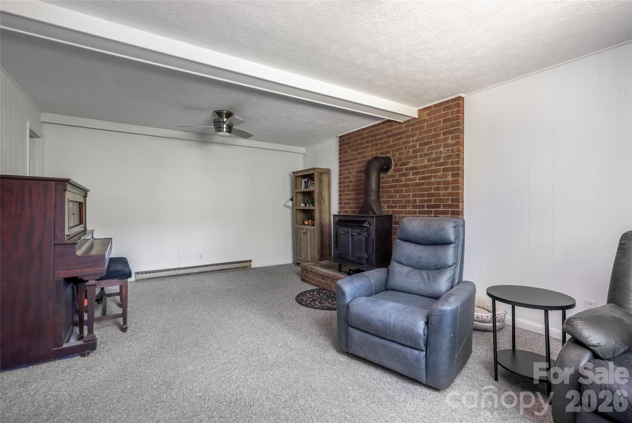 Lower level Living Space - Asheville