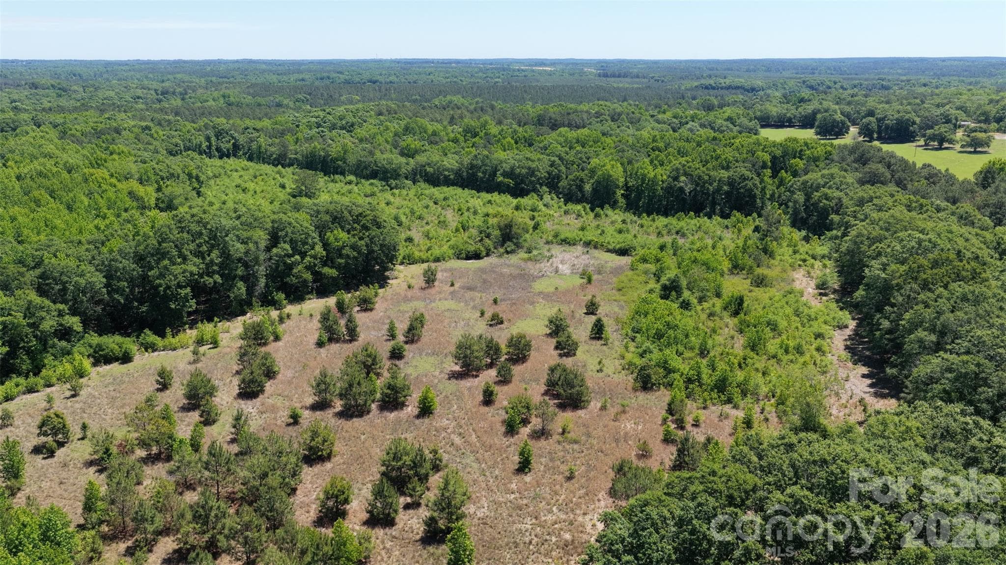 Acreage at 000 Hwy 151 Highway, Jefferson, photo 5 of 19