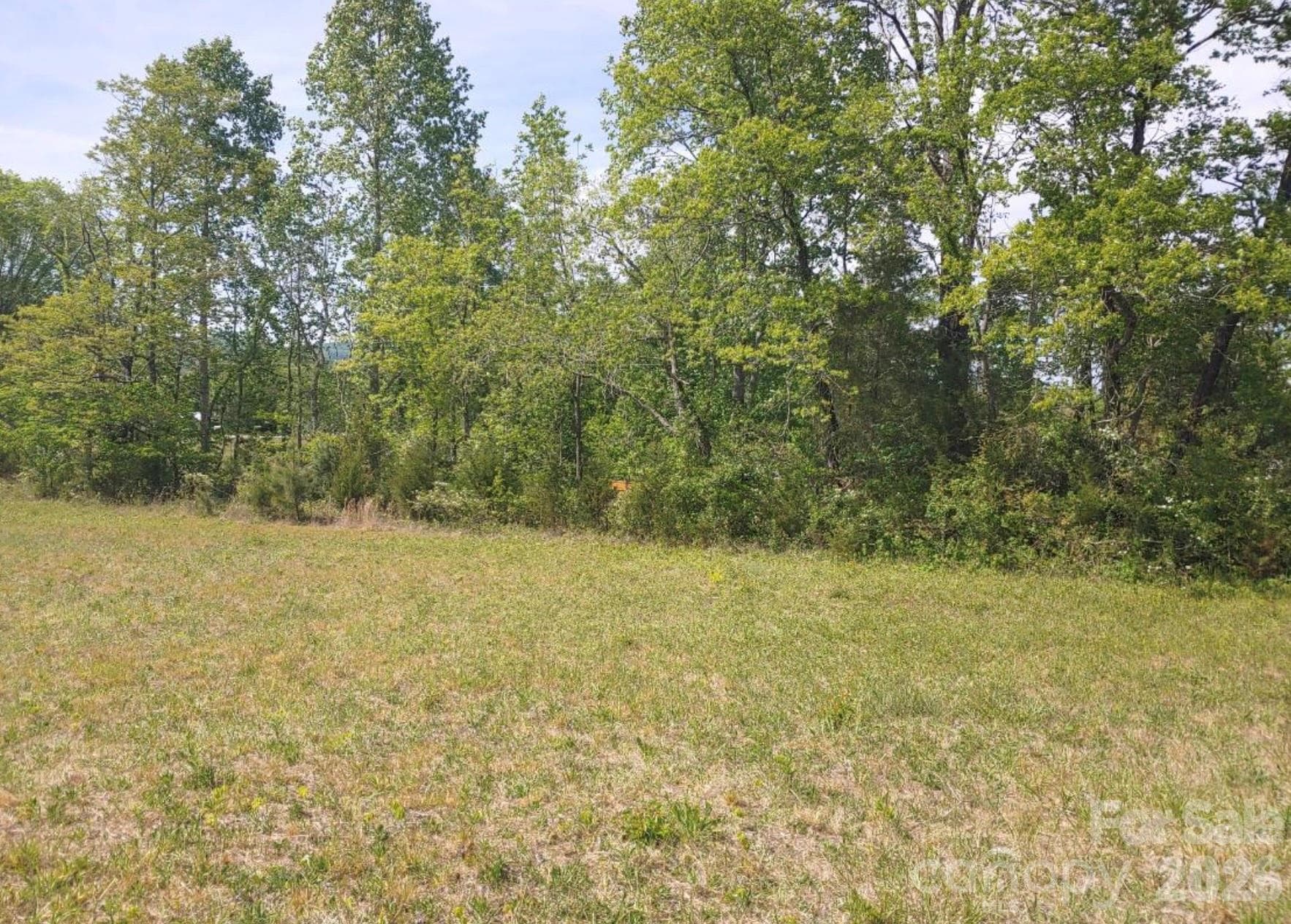 Lot at 2809 Landis Lane, Nebo, photo 7 of 9