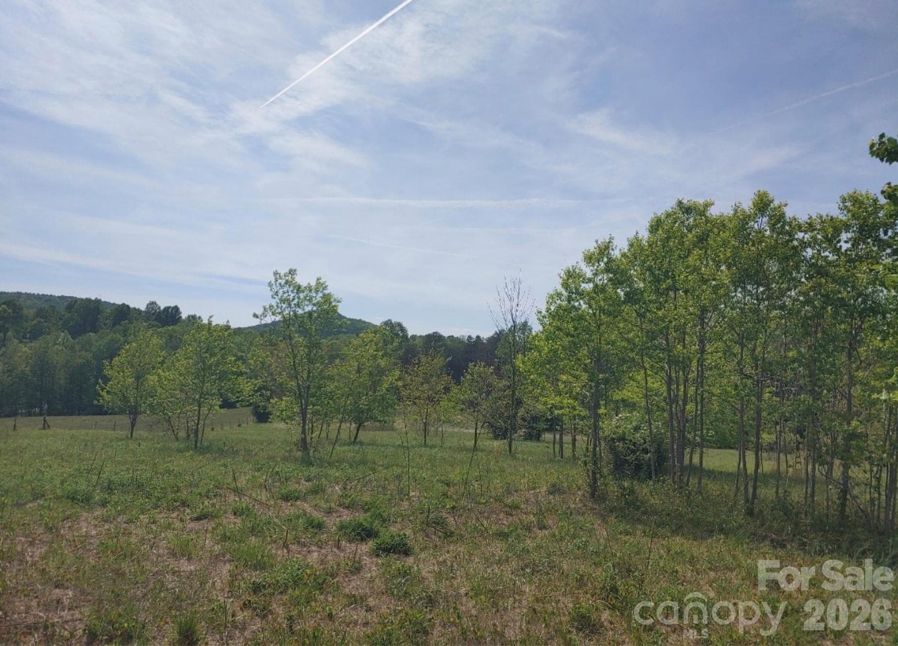 Lot at 2809 Landis Lane, Nebo, photo 8 of 9