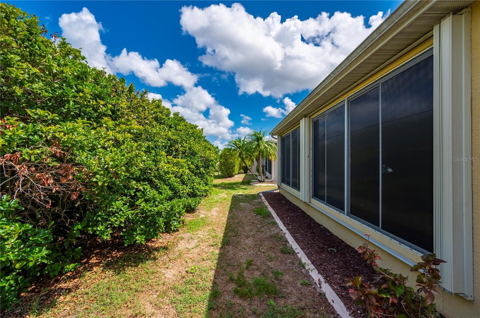 Shrubery hedge separates back yards - 1637 PALACE CT, PORT CHARLOTTE