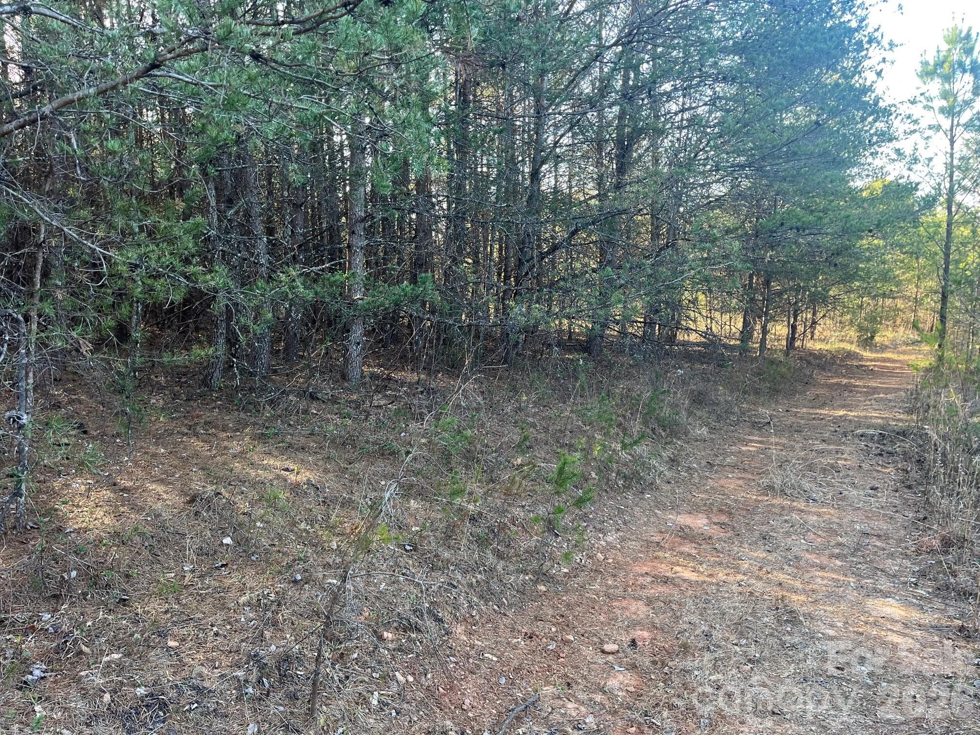 Acreage at Nebo, photo 2 of 33