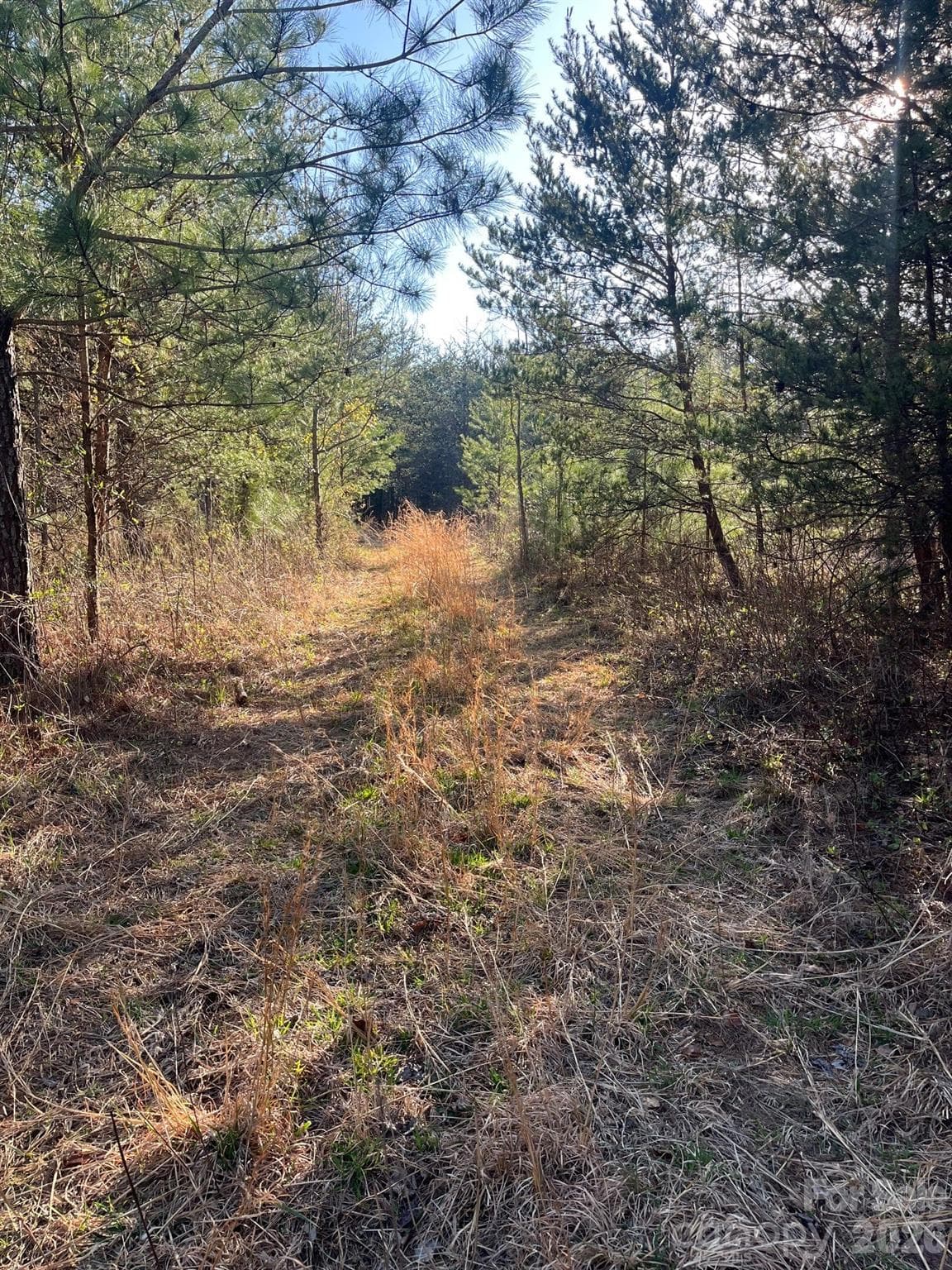 Acreage at Nebo, photo 3 of 33