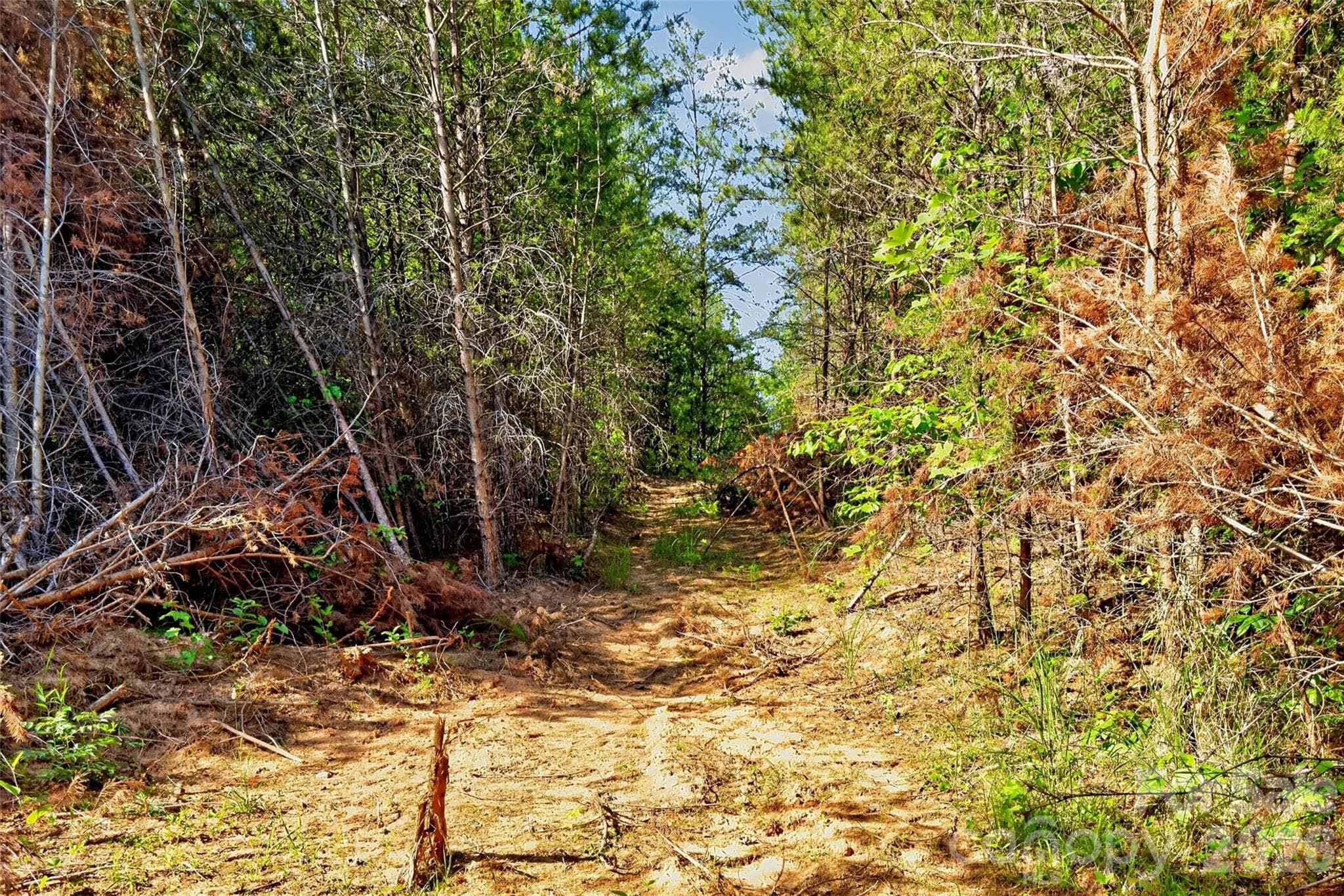 Acreage at 3361 Bethlehem Road, Old Fort, photo 37 of 47