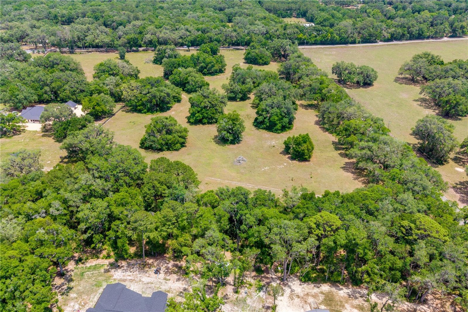 Land at TBD SW 170TH ST, NEWBERRY, photo 11 of 29
