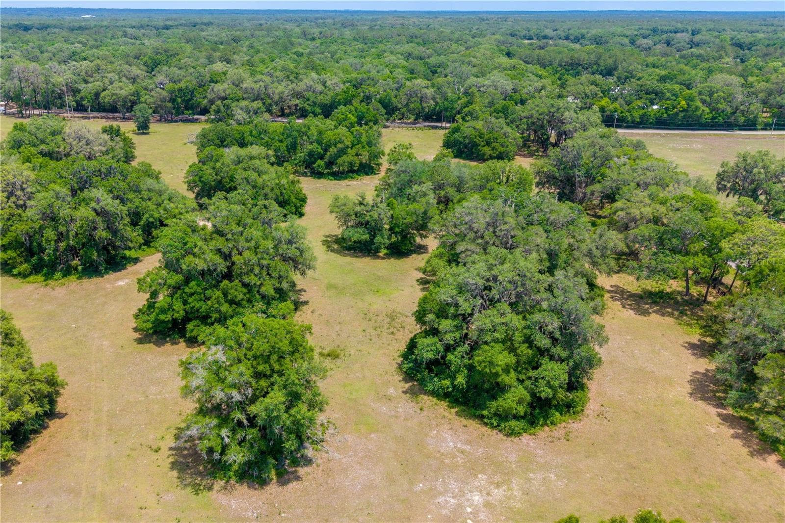 Land at TBD SW 170TH ST, NEWBERRY, photo 15 of 29