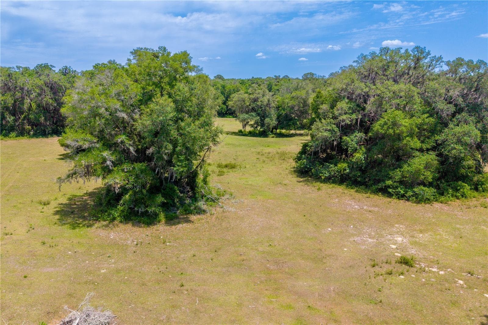 Land at TBD SW 170TH ST, NEWBERRY, photo 16 of 29