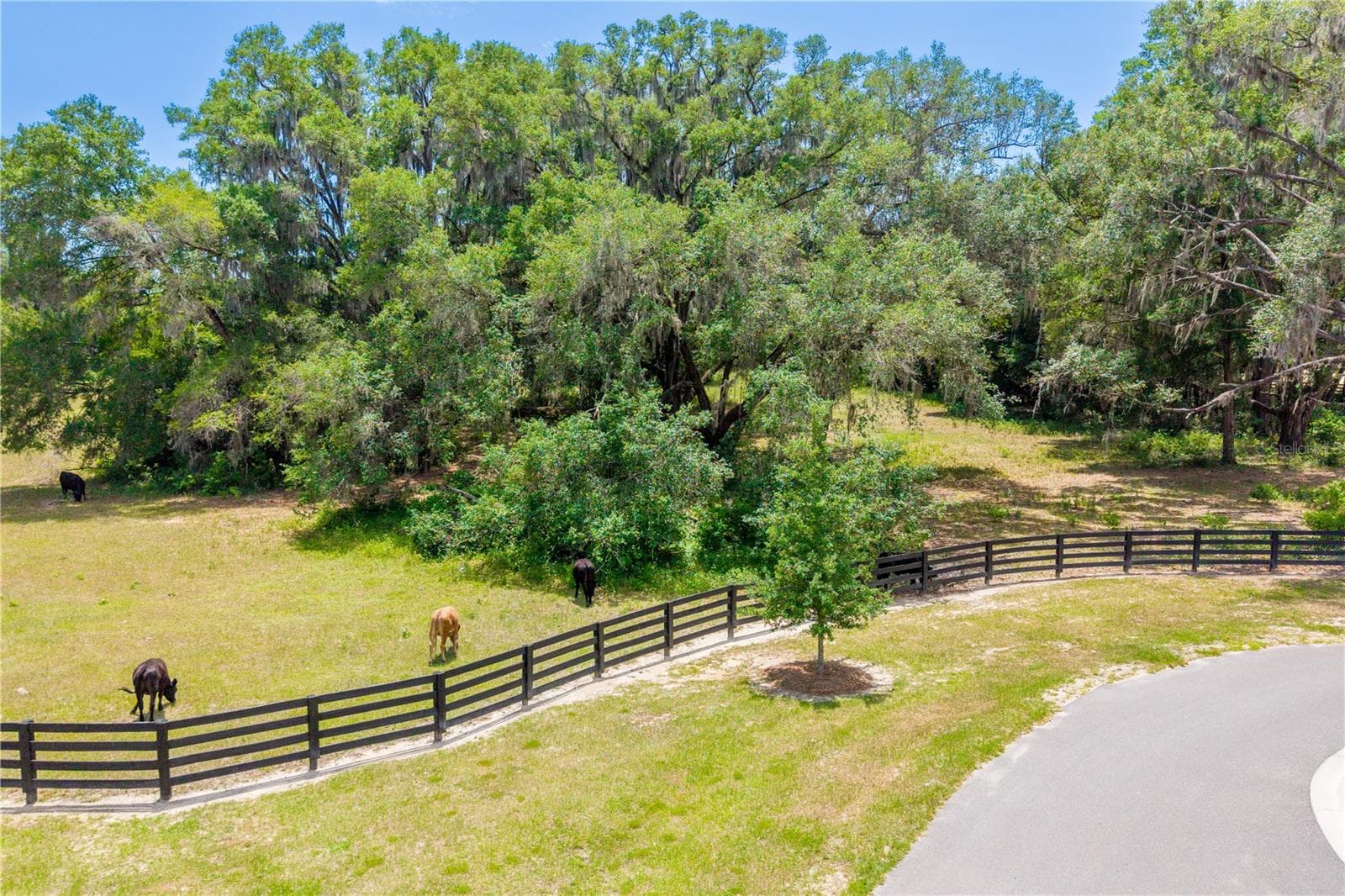 Land at TBD SW 170TH ST, NEWBERRY, photo 21 of 29