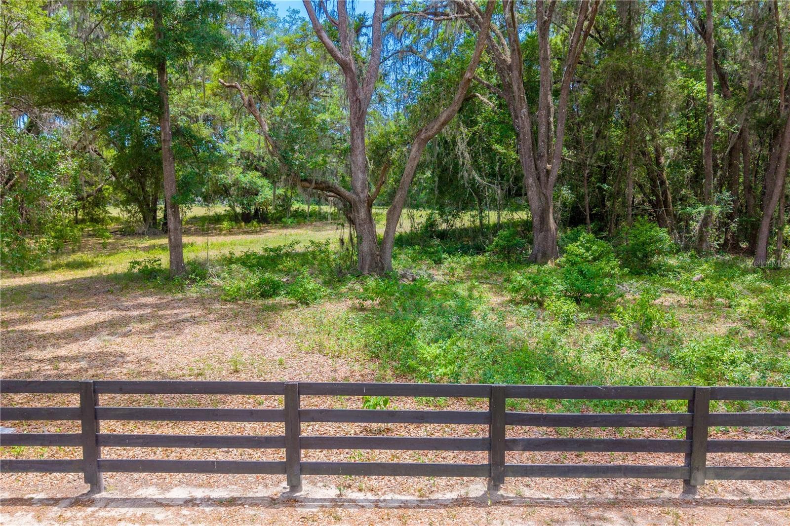 Land at TBD SW 170TH ST, NEWBERRY, photo 22 of 29