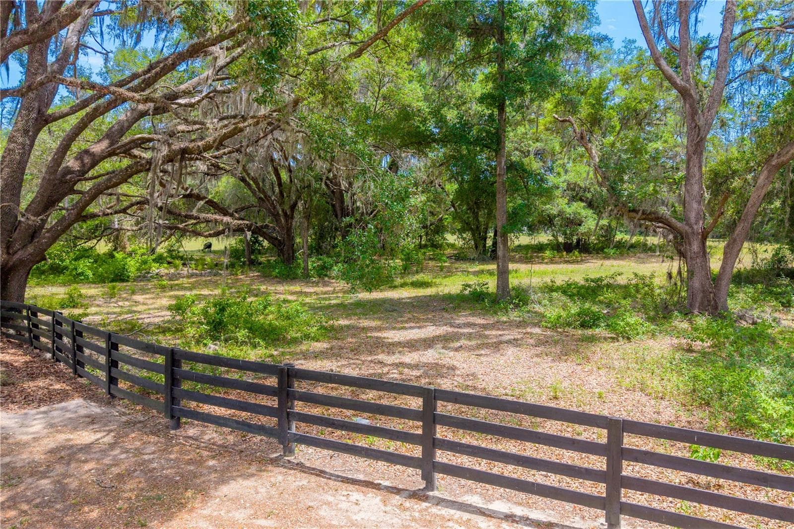Land at TBD SW 170TH ST, NEWBERRY, photo 23 of 29
