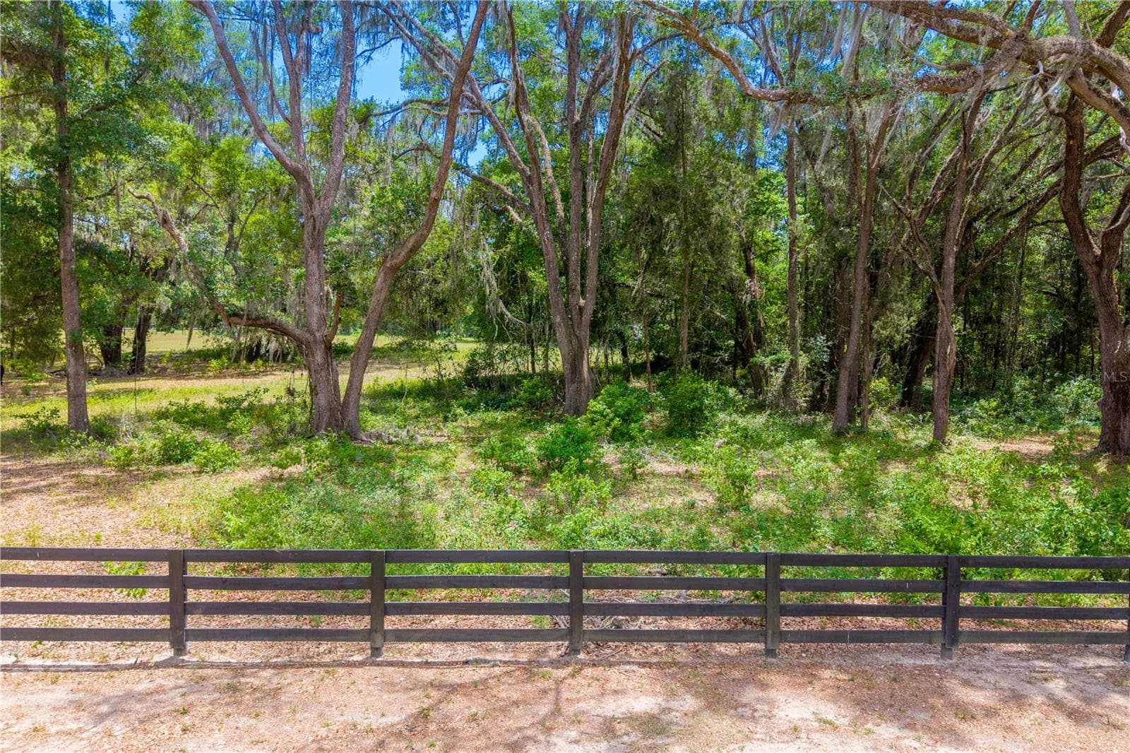 Land at TBD SW 170TH ST, NEWBERRY, photo 24 of 29