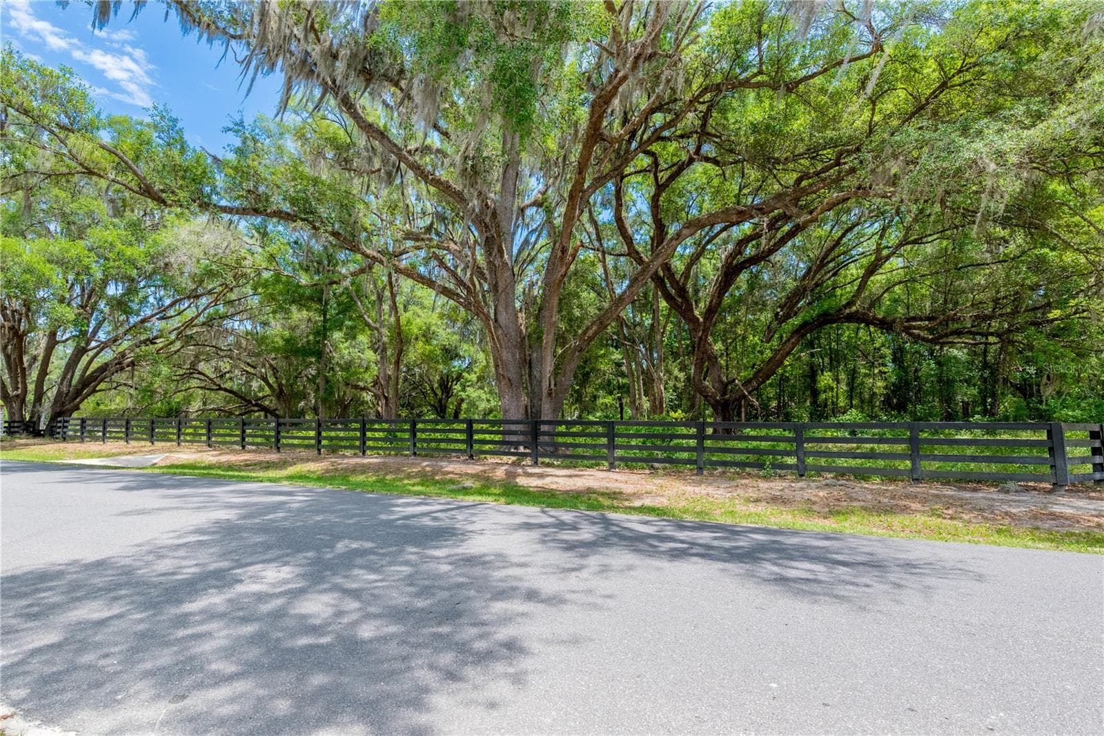 Land at TBD SW 170TH ST, NEWBERRY, photo 26 of 29