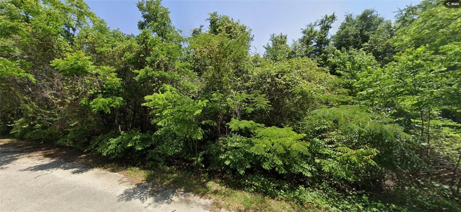 19 SE 146 LN