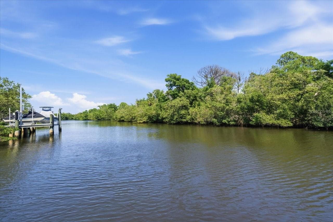 WOW!! - 1130 S FLORIDA AVE, TARPON SPRINGS