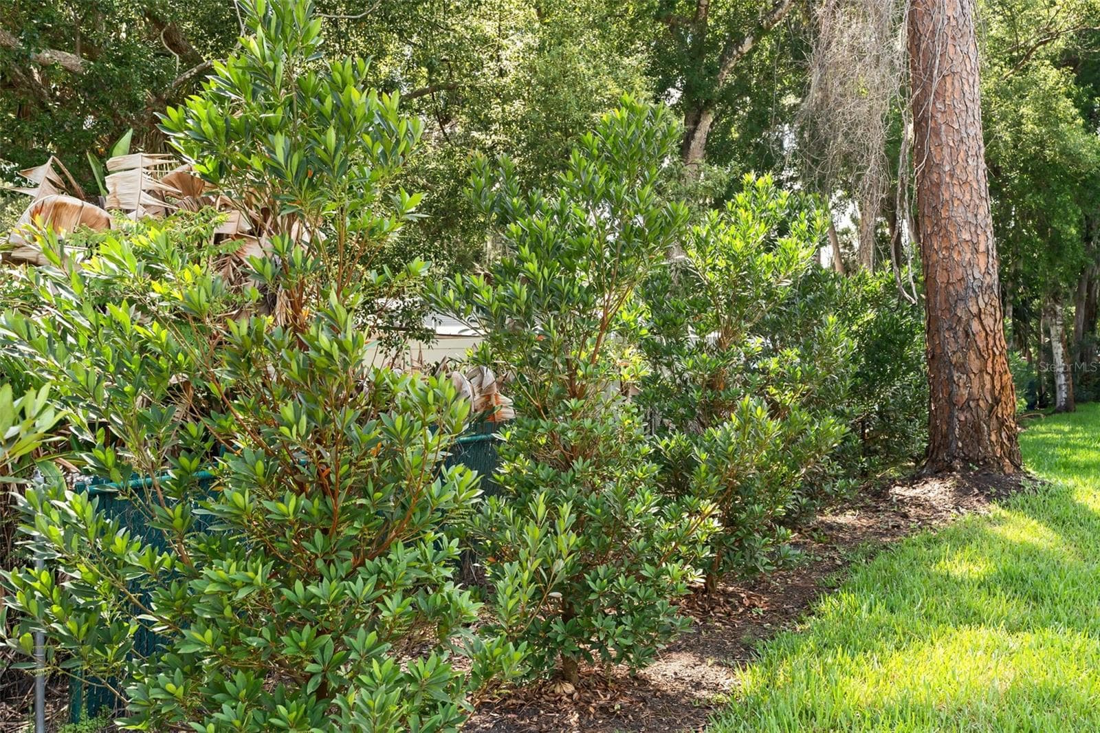 Single Family Residence at 247 DEBARY DR, DEBARY, photo 32 of 47