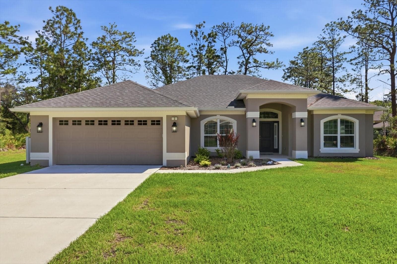 3 STOKESIA CT